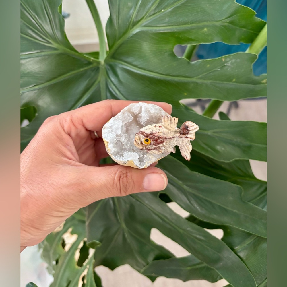 Fish carving on Quartz Geode